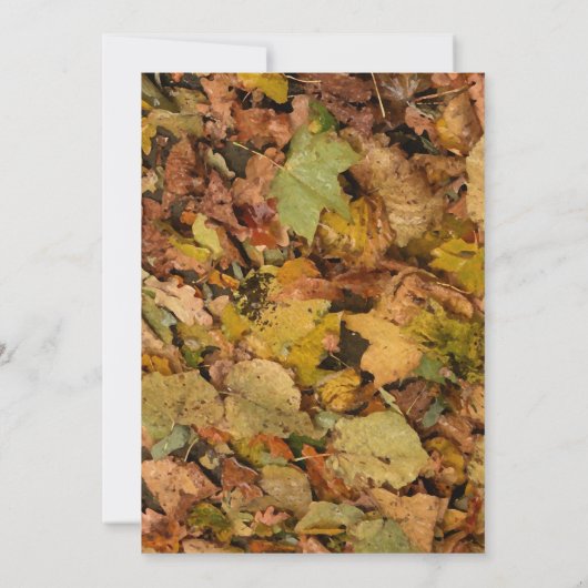 狩りをあります結婚式招待状にごまかして下さい 招待状 (裏面)