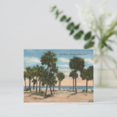 狩りアイランド、サウスカロライナ ポストカード (スタンド正面)