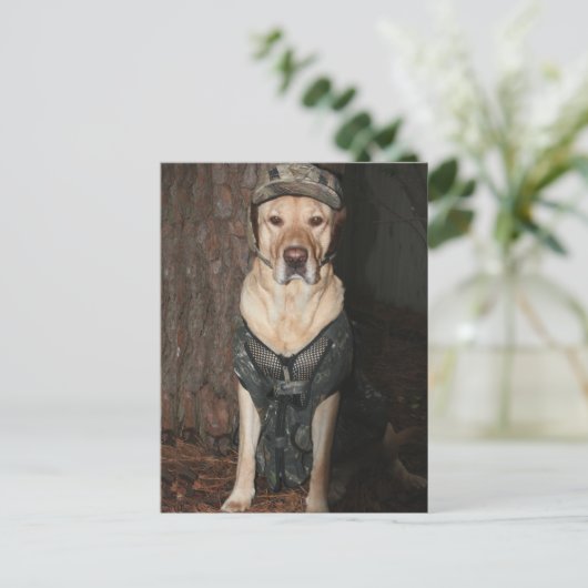 狩りイエロー・ラブラドール・レトリーバーはがき ポストカード (スタンド正面)