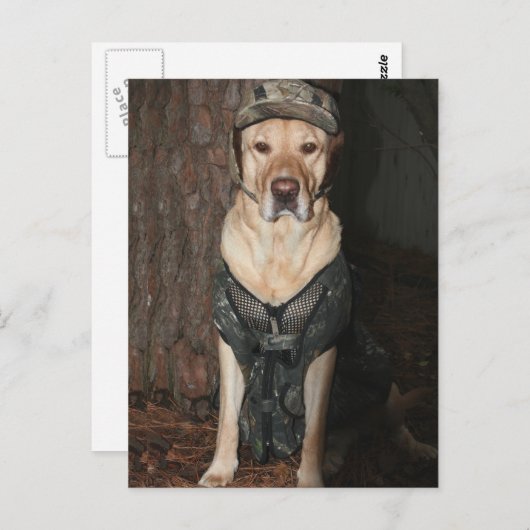 狩りイエロー・ラブラドール・レトリーバーはがき ポストカード (正面/裏面)