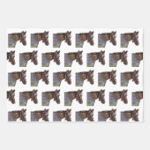 狩りクラブホース、タック、ホースシュー ラッピングペーパーシート (正面)