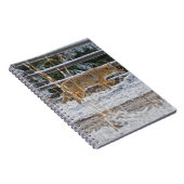 狩りコヨーテ野生生物サポーター手帳 ノートブック (右側)