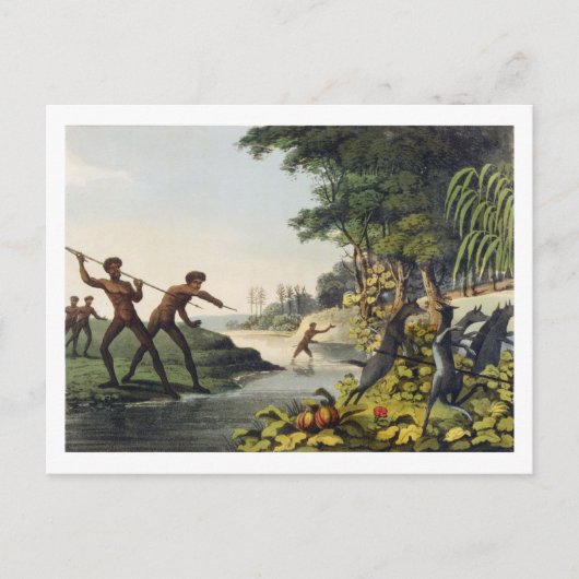 狩りザカンガルー、ニューサウスウェールの原住民 ポストカード (正面)