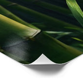 狩りタイガーインバンブーグローブ ポスター (コーナー)