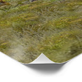 狩りチュカルパトリッジ ポスター (コーナー)