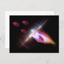 狩りディナーX線魚1