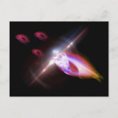 狩りディナーX線魚1 ポストカード (正面)