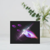 狩りディナーX線魚2 ポストカード (スタンド正面)