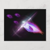 狩りディナーX線魚2 ポストカード (正面)