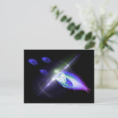 狩りディナーX線魚3 ポストカード (スタンド正面)