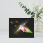 狩りディナーX線魚4 ポストカード (スタンド正面)