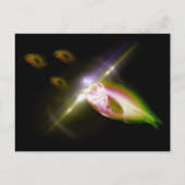 狩りディナーX線魚4 ポストカード (正面)