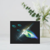 狩りディナーX線魚5 ポストカード (スタンド正面)