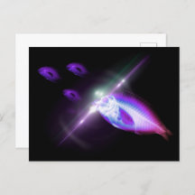 狩りディナーX線魚6