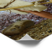 狩り後に帰る。ポスター ポスター (角)