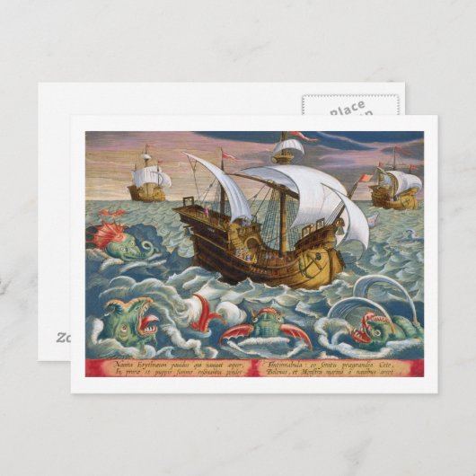 狩り海の生き物, 'ヴェネationes Fからプレート84 ポストカード (正面/裏面)