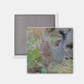 狩り猫 マグネット (正面/裏面)