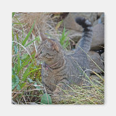 狩り猫 マグネット (正面)