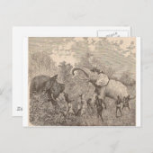 狩り象 ポストカード (正面/裏面)