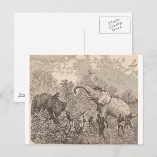 狩り象 ポストカード (正面/裏面)