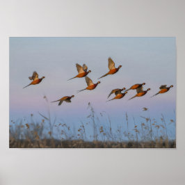 狩り開始シーズン賞金稼ぎ ポスター