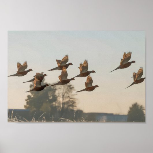 狩り開始シーズン賞金稼ぎ ポスター (正面)