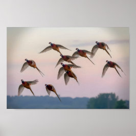 狩り開始シーズン賞金稼ぎ ポスター