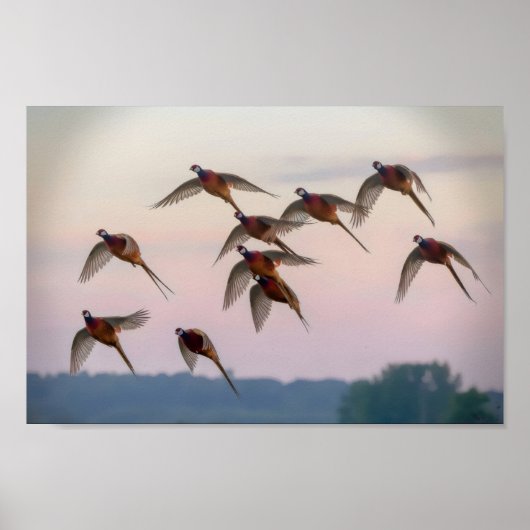 狩り開始シーズン賞金稼ぎ ポスター (正面)