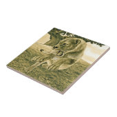 狩り雌 タイル (側面)