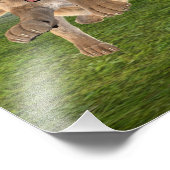 狩り雌 フォトプリント            (角)