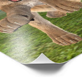 狩り雌 フォトプリント            (角)