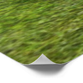 狩り雌 ポスター (角)