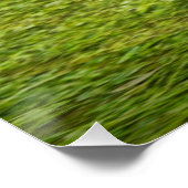 狩り雌 ポスター (コーナー)