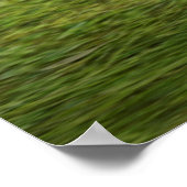 狩り雌 ポスター (角)