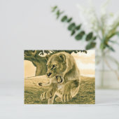 狩り雌 ポストカード (スタンド正面)