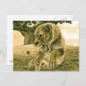 狩り雌 ポストカード (正面/裏面)