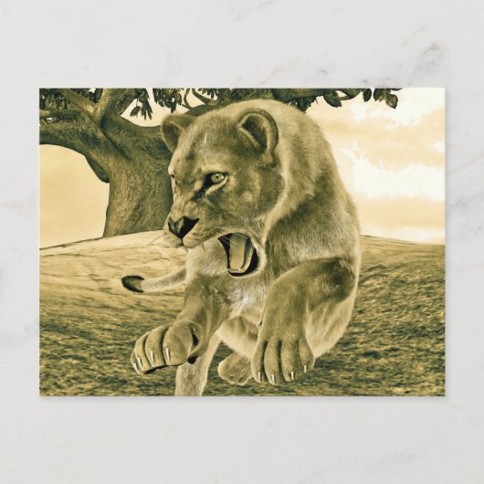 狩り雌 ポストカード (正面)