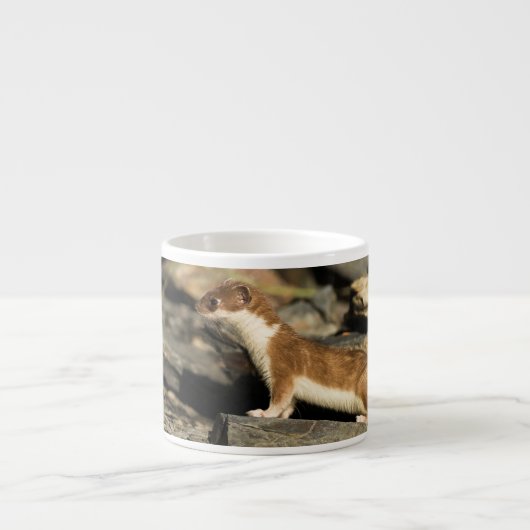 狩り エスプレッソカップ (正面)