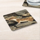 狩り スクエアペーパーコースター (アングル)