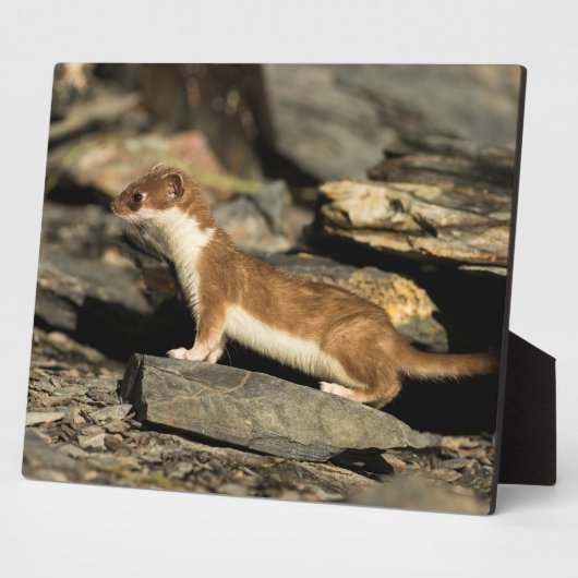 狩り フォトプラーク (側面)