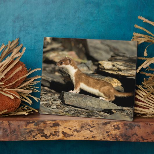 狩り フォトプラーク (側面)