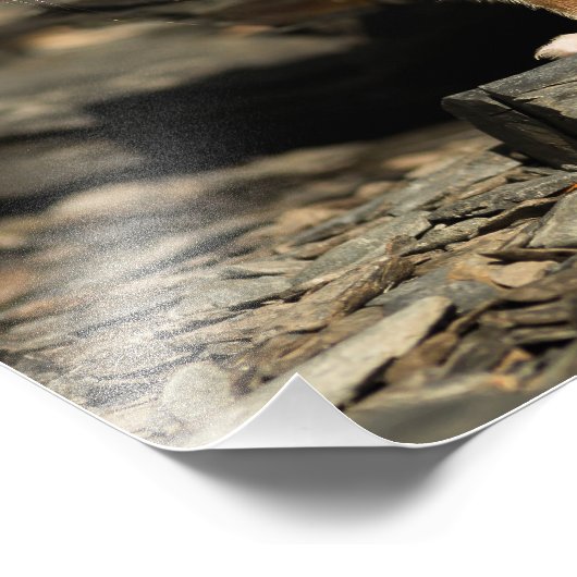 狩り フォトプリント            (角)