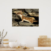 狩り ポスター (キッチン)