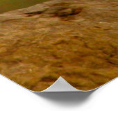 狩り ポスター (角)