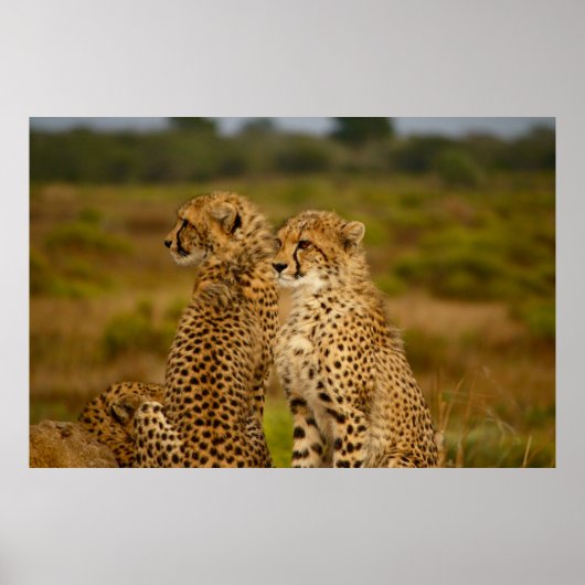 狩り ポスター (正面)