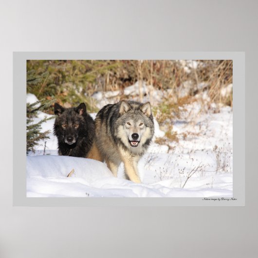 狩り ポスター (正面)