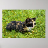 狩り ポスター (正面)