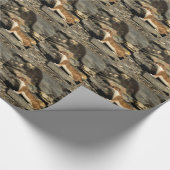 狩り ラッピングペーパー (コーナー)