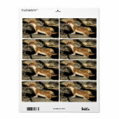 狩り ラベル (フルシート)