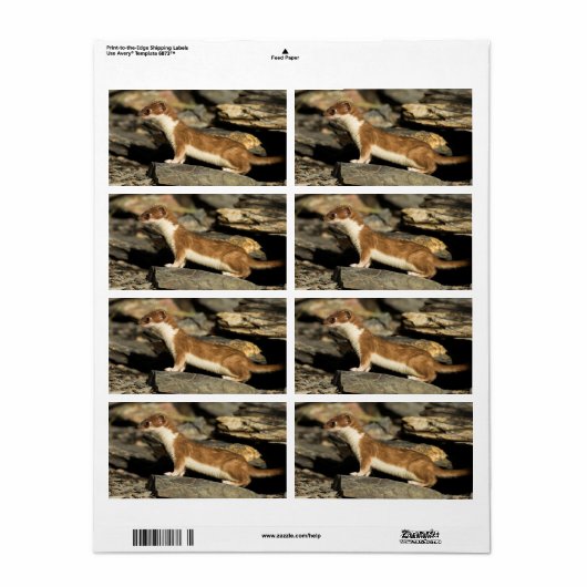 狩り ラベル (フルシート)